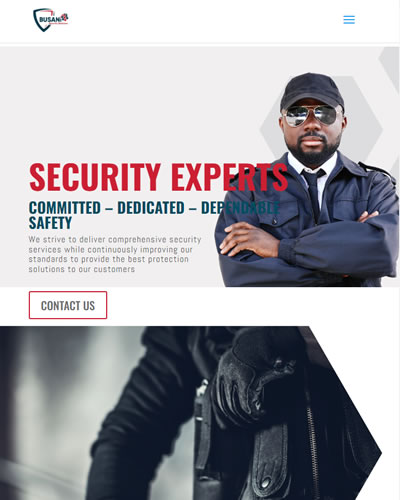 Busani Security Web Dev